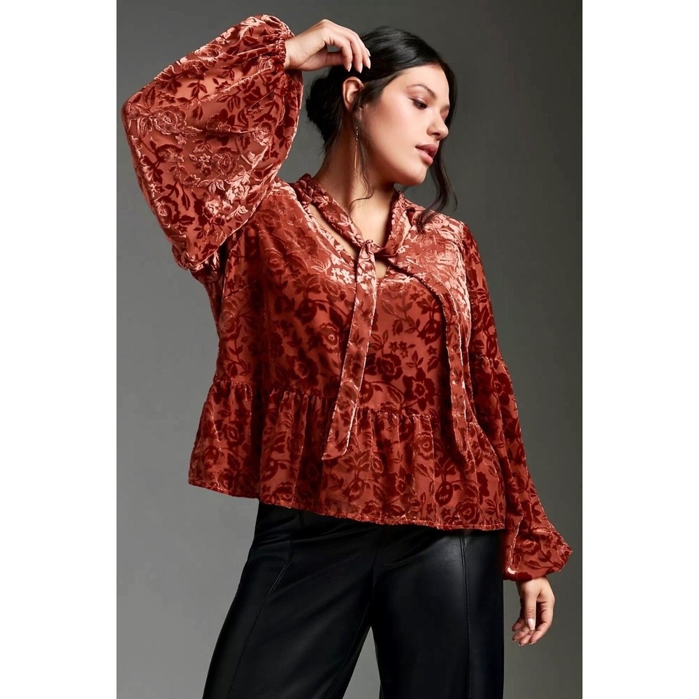 Anthropologie Velvet Burnout Top Size XXS Orange Floral Whimsigoth Bishop Sleeve